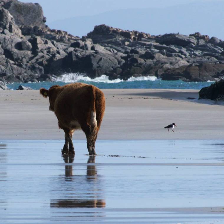 5 ways the Isle of Mull will melt in your mouth! 