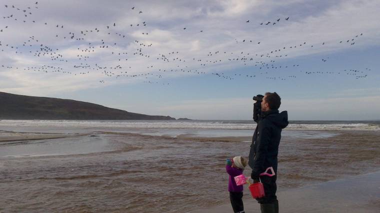 How to enjoy the wonderful wildlife of Islay! 
