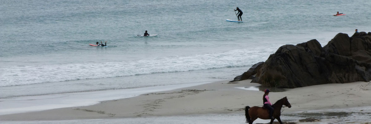 Tiree-surf-horse.jpg