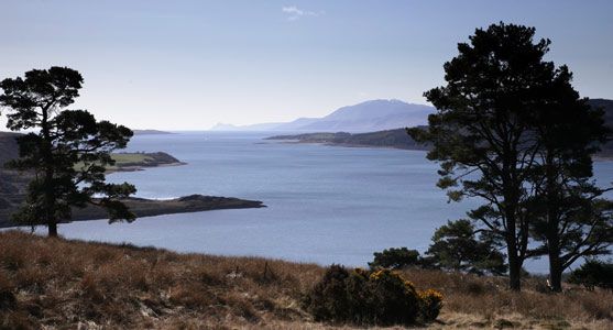 Discover-Cowal...jpg