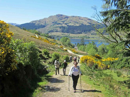 Walking the Cowal Way