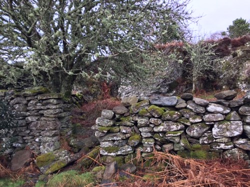 Glenan Deserted Village