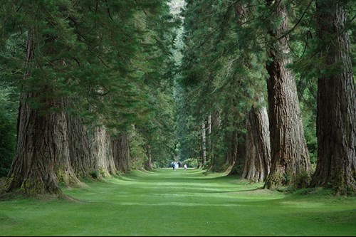 Benmore Botanic Garden