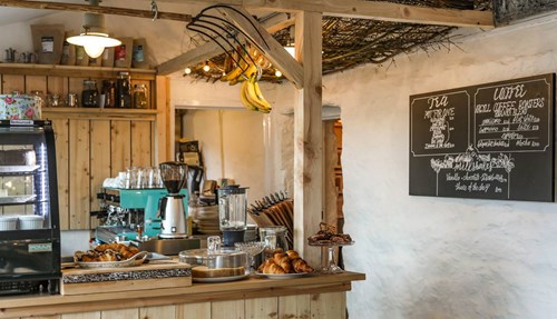 Botanica at the Barn