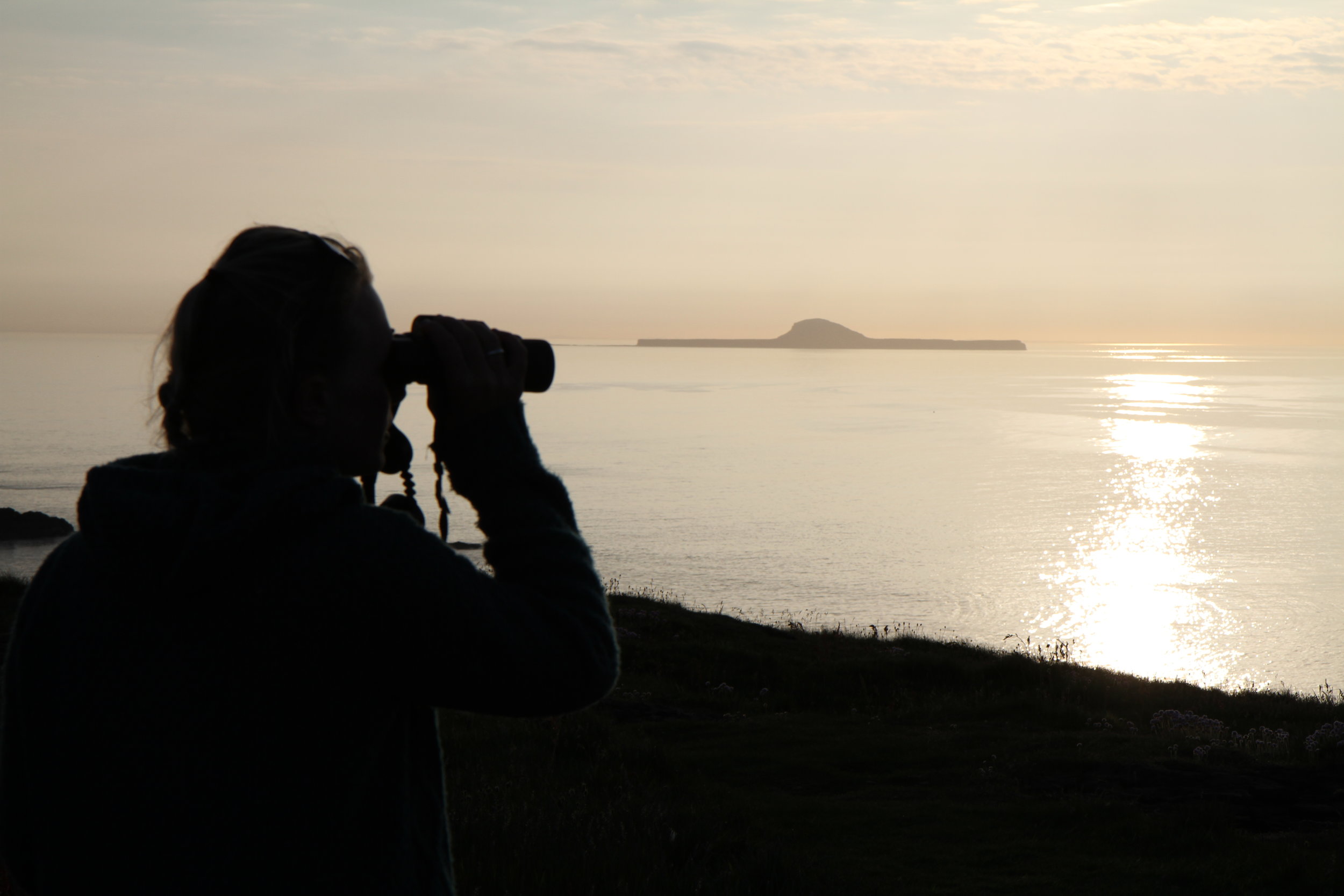Looking+out+towards+Dutchman’s+Cap,+Treshnish+Isles+©+HWDT.jpg