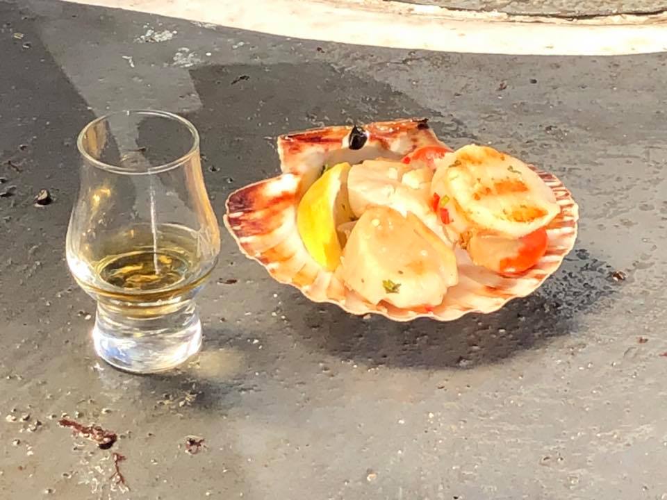 Sea Advenures Experience.jpg