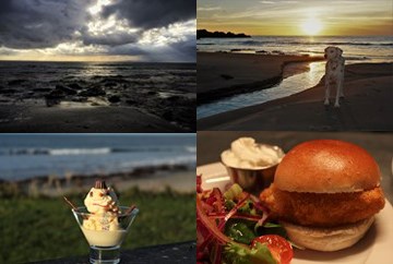 Beach, dog, ice creamm and burger images