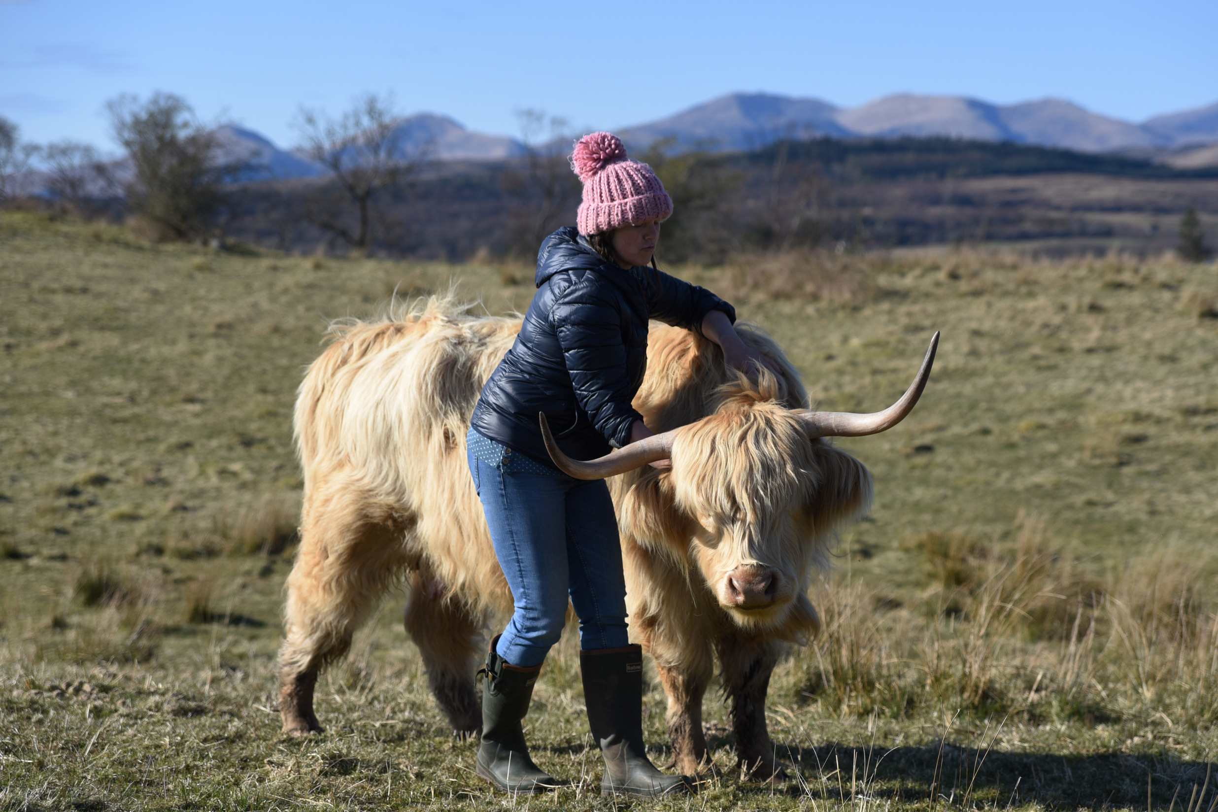 Highland Fold Taste Trails5