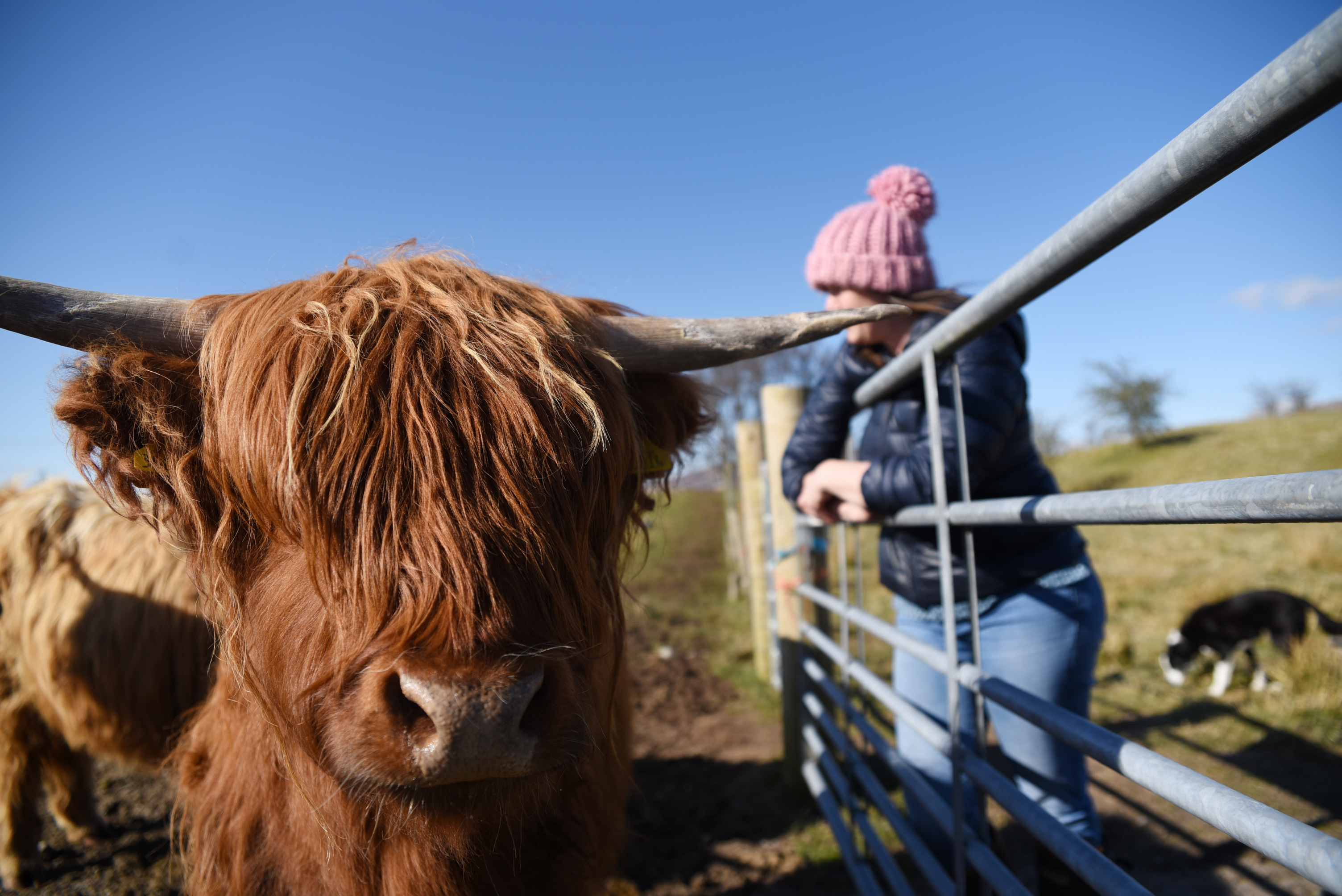 Highland Fold Taste Trails7