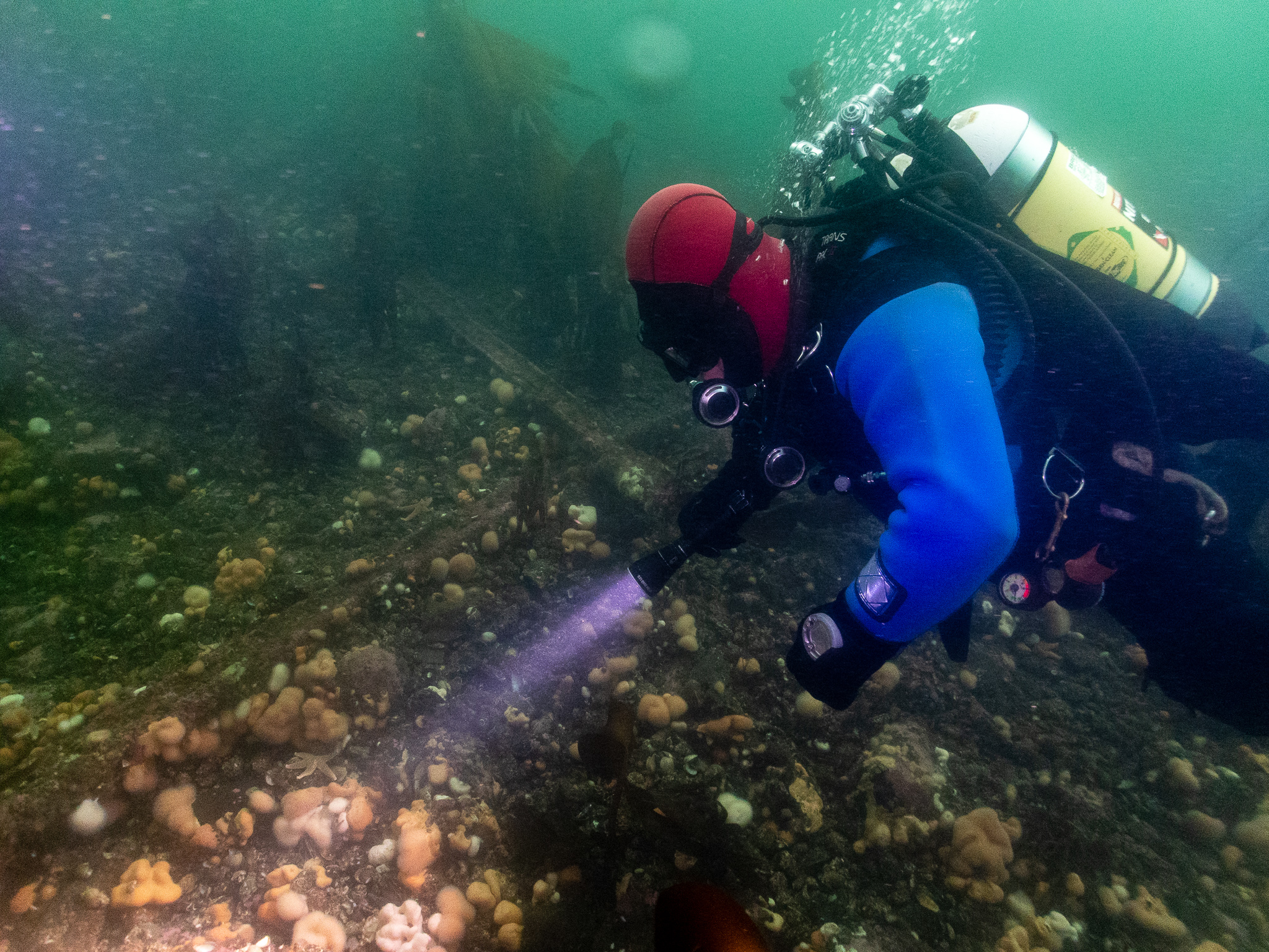 P3136505 Above&Below DAVE BLEAZARD