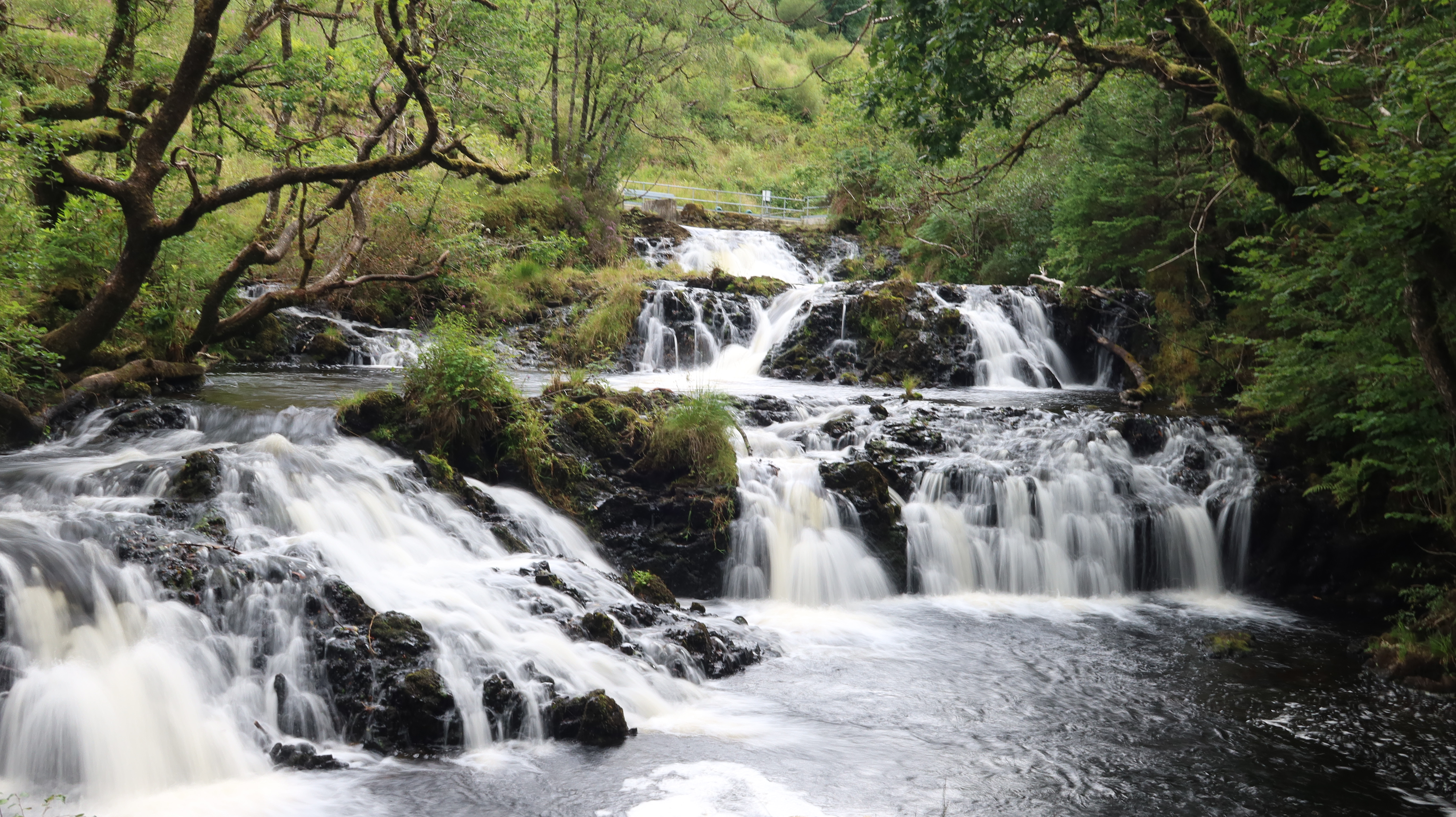 IMG 0589_lochawe_marcusstitz